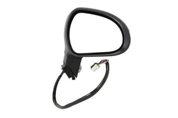 Exterior Mirror (5402-04-1129282P)