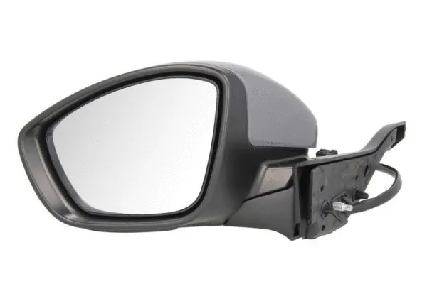 Exterior Mirror (5402-08-2002057P)