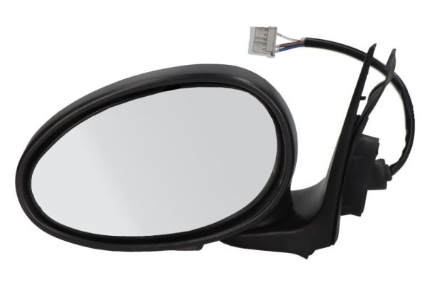 Exterior Mirror (5402-04-1125510)