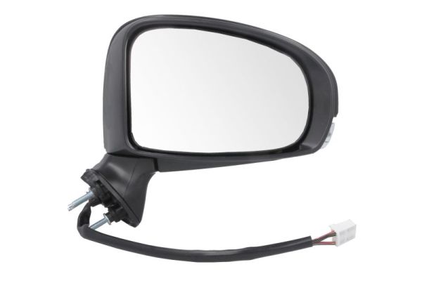Exterior Mirror (5402-19-2002450P)