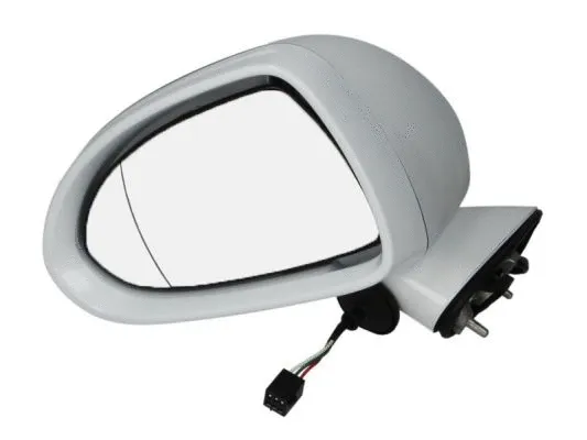 Exterior Mirror (5402-04-1121226P)
