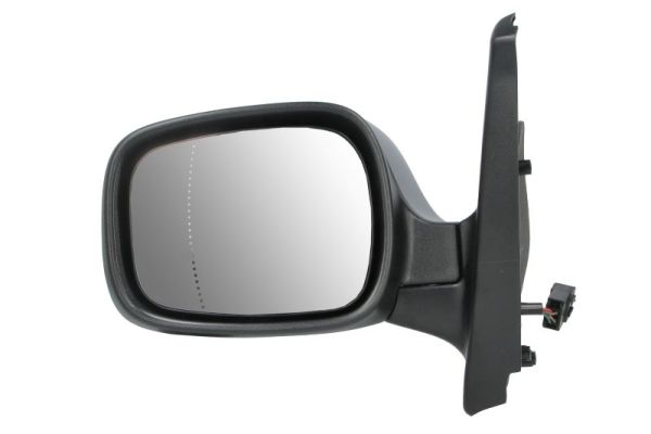 Exterior Mirror (5402-04-9239172P)