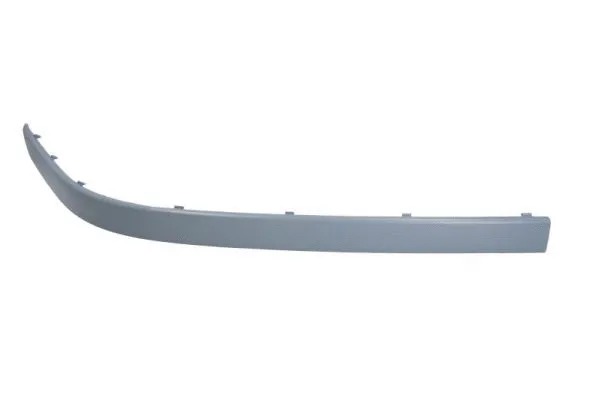 Trim/Protection Strip, bumper (5703-05-0065930PQ)