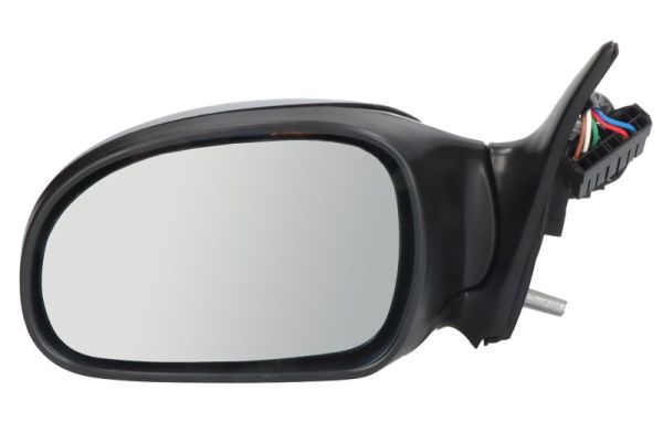 Exterior Mirror (5402-04-1125859P)