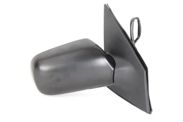Exterior Mirror (5402-04-1121220P)