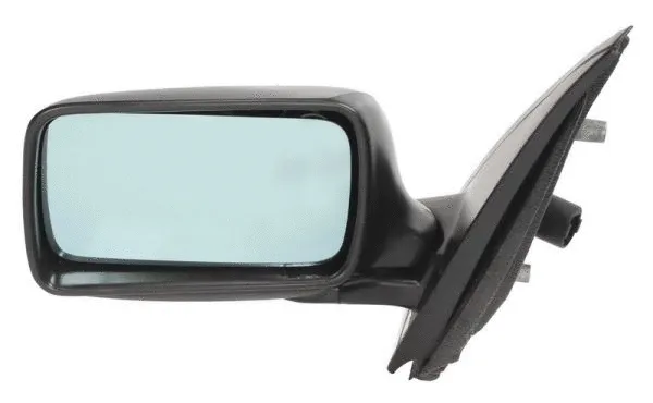 Exterior Mirror (5402-04-1125279)