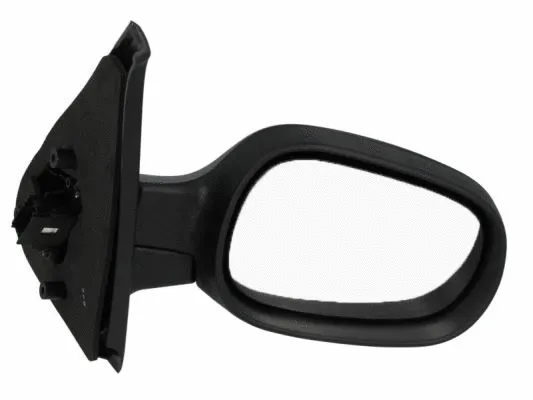 Exterior Mirror (5402-04-1121173P)