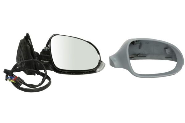 Exterior Mirror (5402-04-1152118)