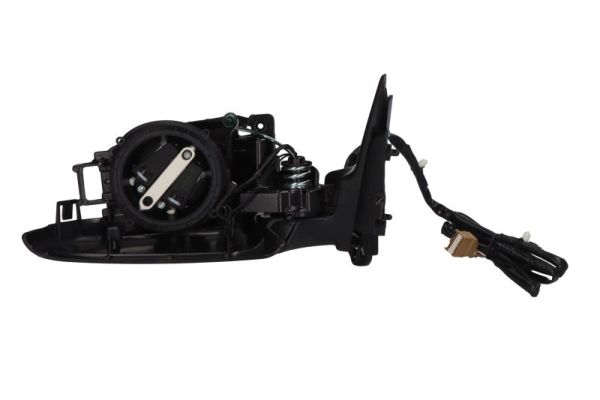 Exterior Mirror (5402-04-1321525)