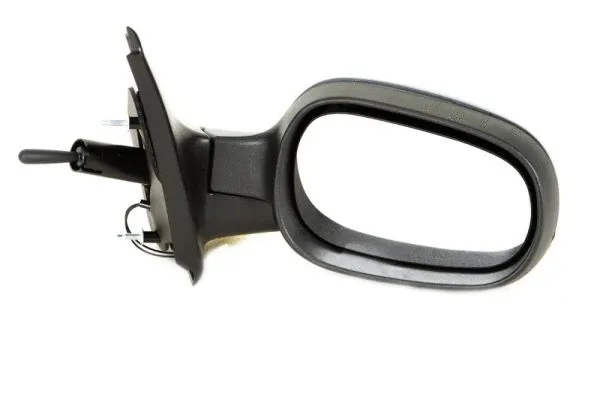 Exterior Mirror (5402-04-1138219P)