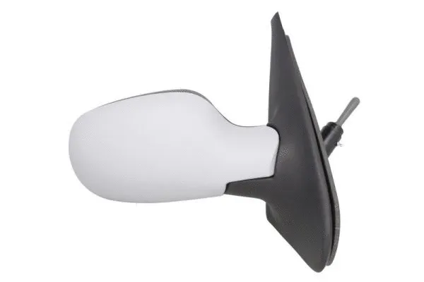 Exterior Mirror (5402-09-2002124P)