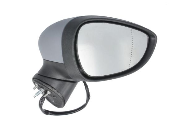 Exterior Mirror (5402-04-1111394P)