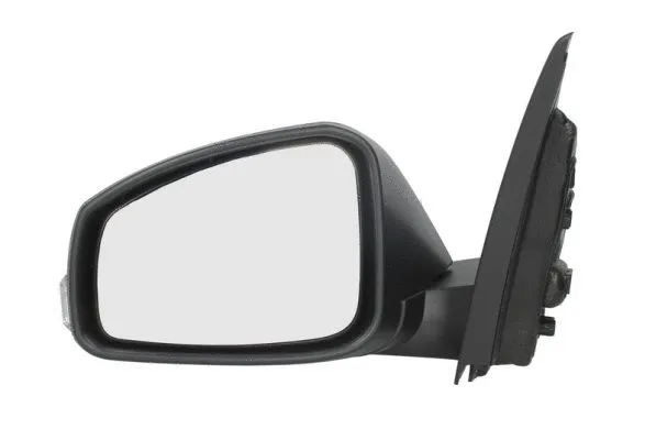 Exterior Mirror (5402-04-1121585P)
