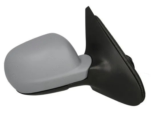 Exterior Mirror (5402-04-1121199P)
