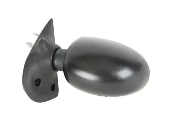 Exterior Mirror (5402-04-1112117P)