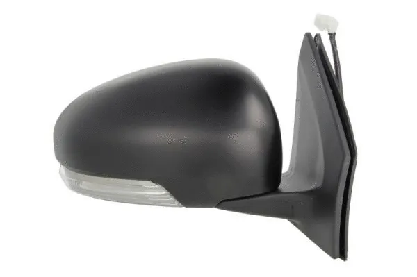 Exterior Mirror (5402-19-2002492P)