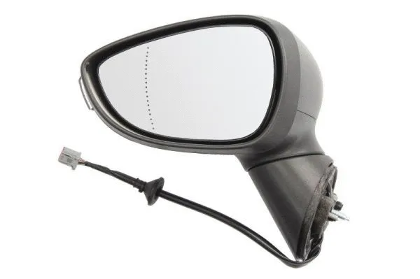 Exterior Mirror (5402-03-2001177P)