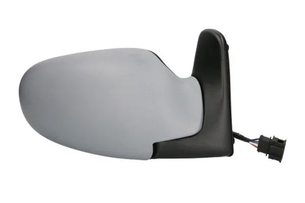 Exterior Mirror