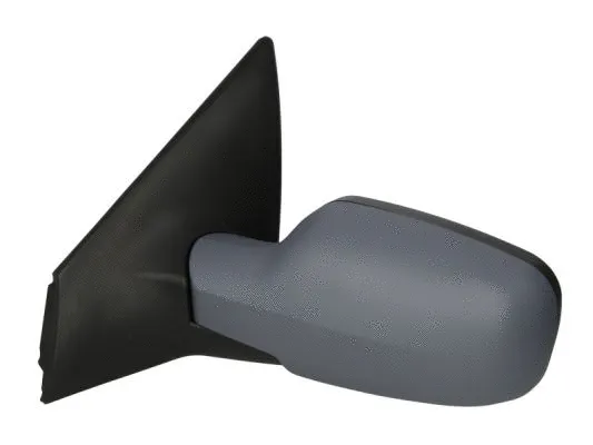Exterior Mirror (5402-04-1137228P)