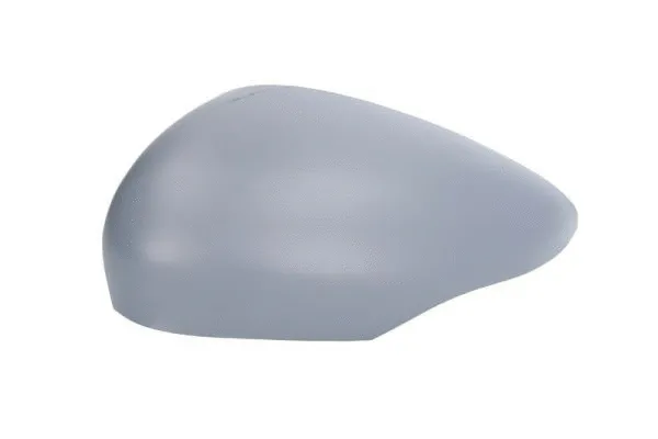 Housing, exterior mirror (6103-01-1312521P)