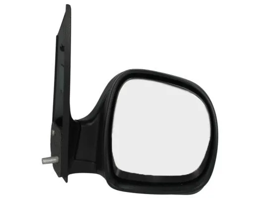 Exterior Mirror (5402-04-9232919)