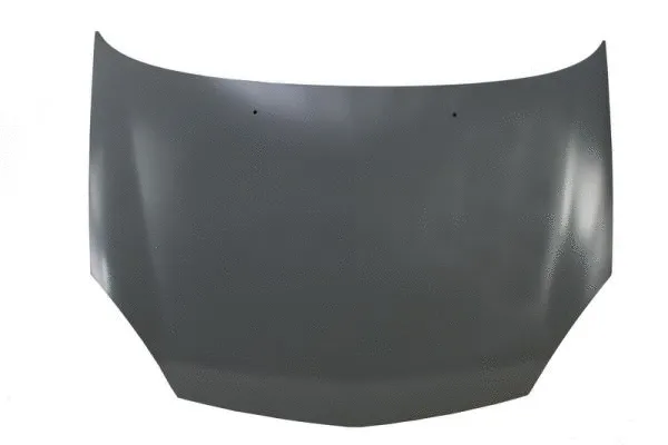 Bonnet (6803-00-6032281P)