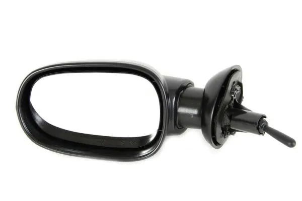 Exterior Mirror (5402-04-1191599P)