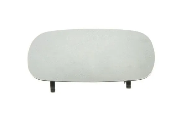 Mirror Glass, exterior mirror (6102-02-1233939P)