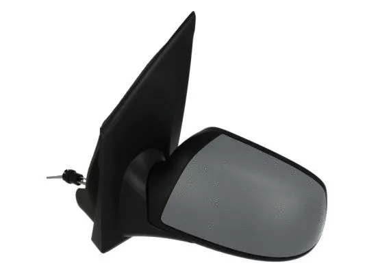 Exterior Mirror (5402-04-1191392P)