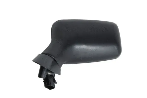 Exterior Mirror (5402-04-1125283)