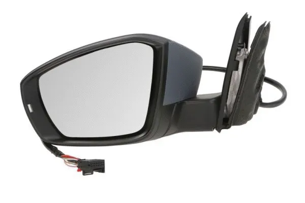 Exterior Mirror (5402-43-2002355P)