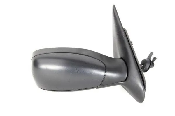 Exterior Mirror (5402-04-1115290P)