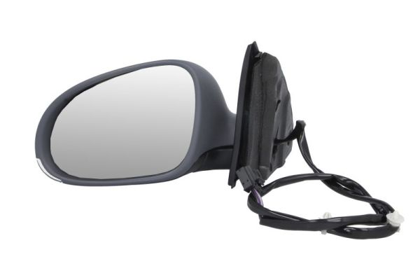 Exterior Mirror (5402-04-1131121P)