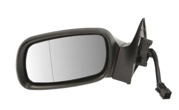 Exterior Mirror (5402-04-1117231P)