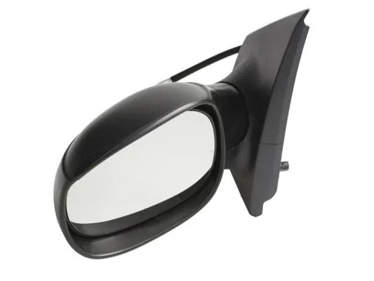 Exterior Mirror (5402-04-1125853)