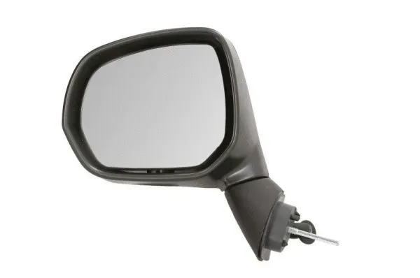 Exterior Mirror (5402-21-037363P)