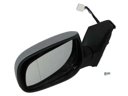 Exterior Mirror (5402-04-1129218P)