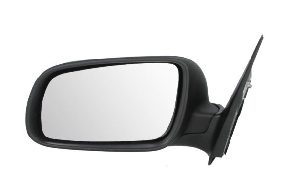 Exterior Mirror (5402-04-1239559P)