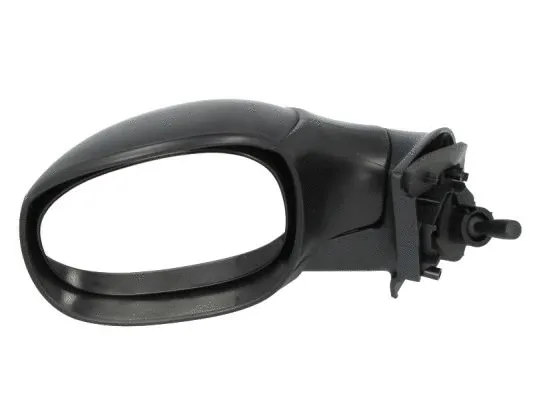 Exterior Mirror (5402-04-1112851P)