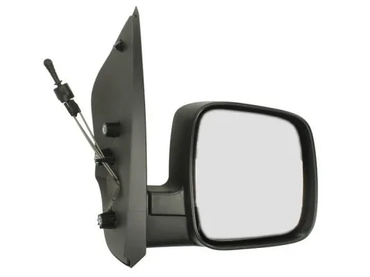 Exterior Mirror (5402-04-1121615P)