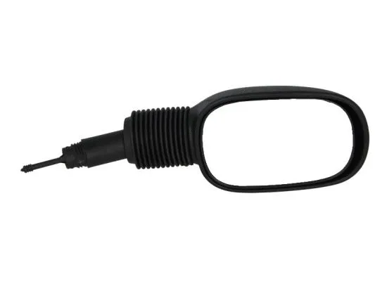 Exterior Mirror (5402-04-1193382)