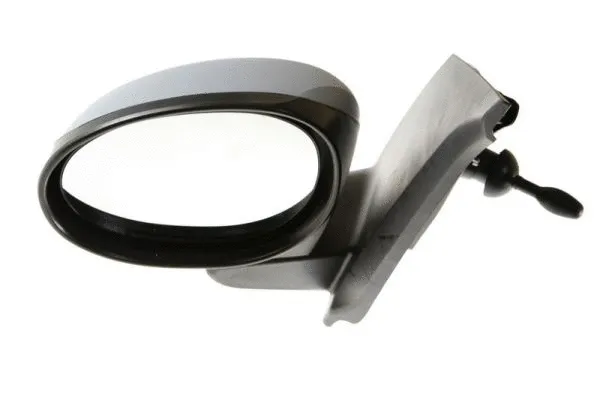 Exterior Mirror (5402-04-1191857P)