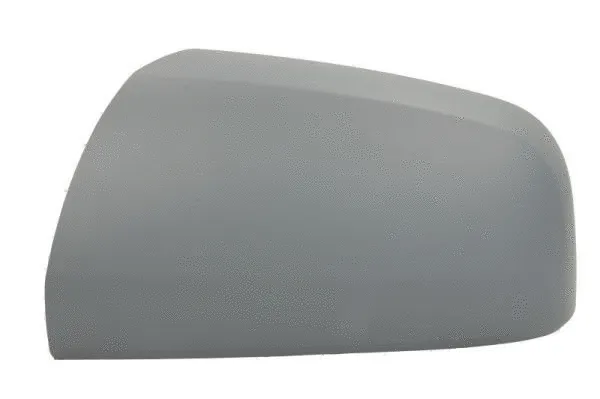 Housing, exterior mirror (6103-04-2002047P)
