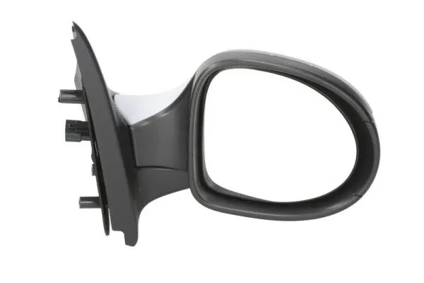 Exterior Mirror (5402-09-2002226P)