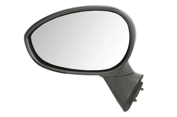 Exterior Mirror (5402-04-1139933)