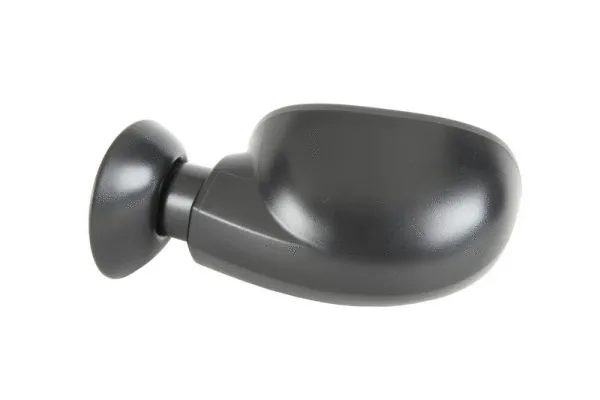 Exterior Mirror (5402-04-1111599P)