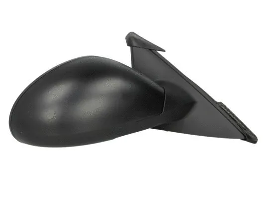 Exterior Mirror (5402-04-1138892P)
