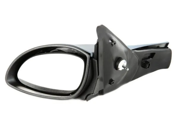 Exterior Mirror (5402-04-1112233P)