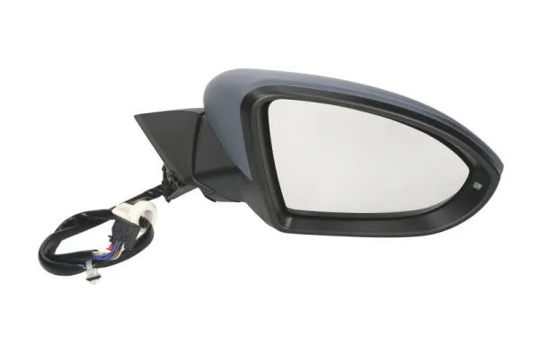 Exterior Mirror (5402-01-2002654P)