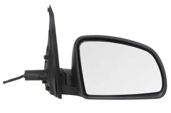 Exterior Mirror (5402-04-9238752P)